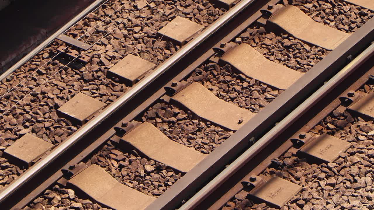 도쿄 최고의 전망