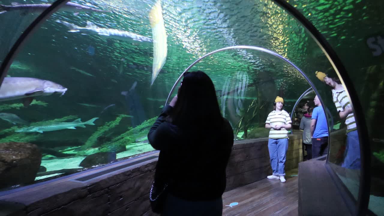 수족관에서 물고기와 상어 해양 생물 사진을 찍는 소녀