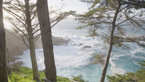 Vista-De-La-Montaña-Del-Océano-Pacífico-En-La-Playa-De-Big-Sur-En-El-Sur-De-California-A-Través-De-Los-árboles