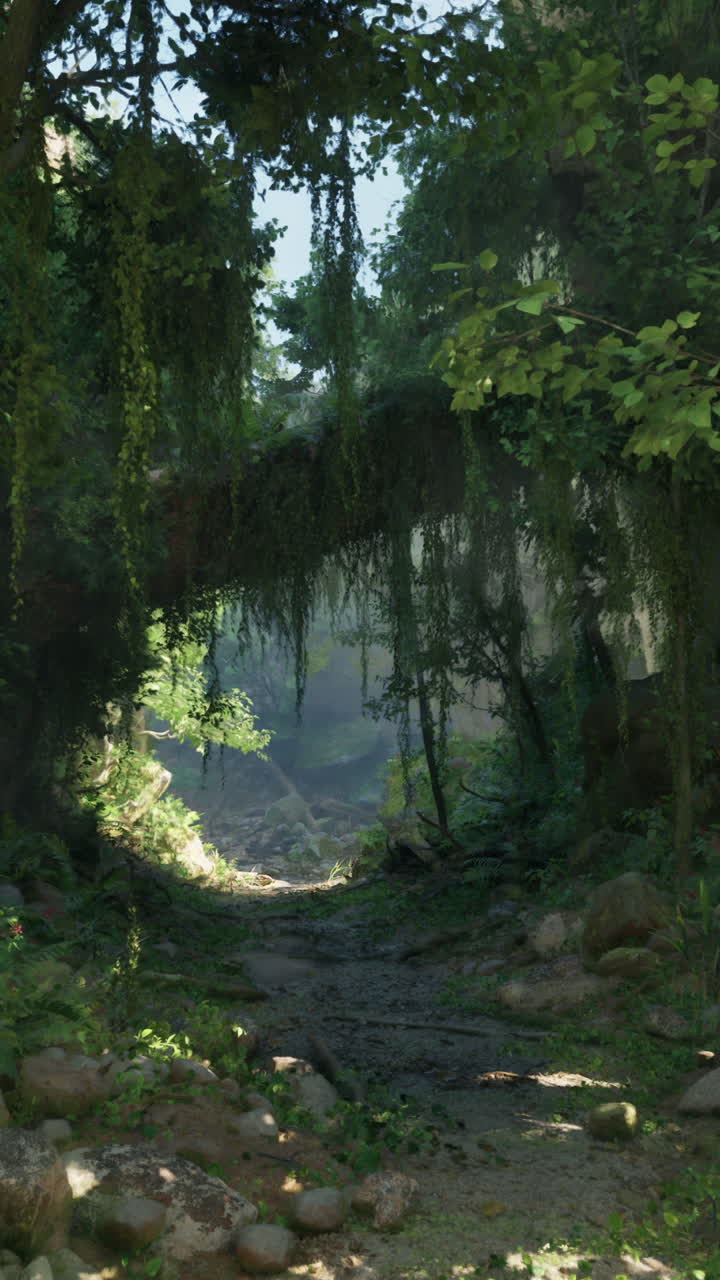 울창 한 푸른 숲 과 그 사이 를 가로지르는 길