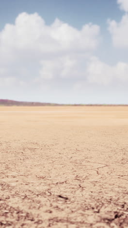 a wide open desert landscape