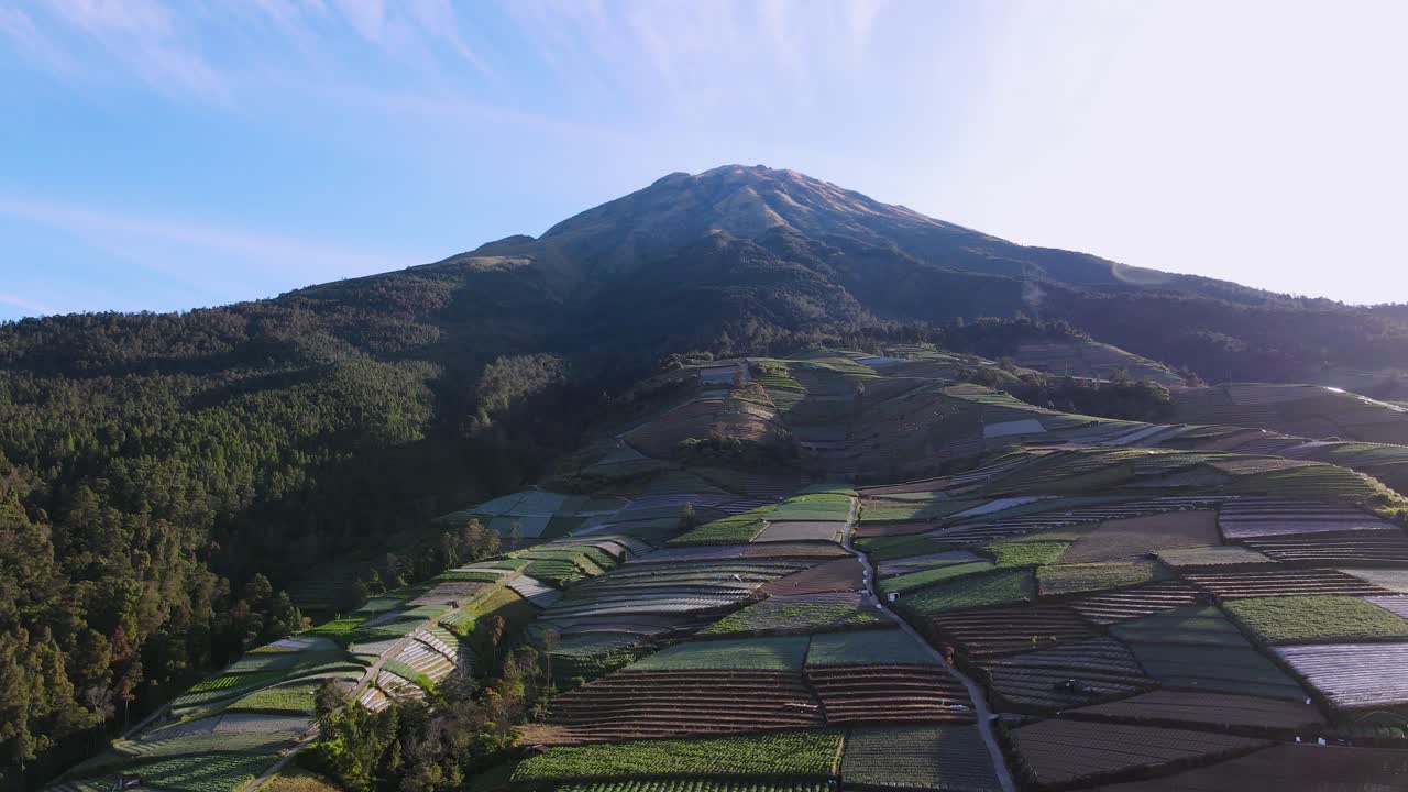 vista aérea de una plantación de verduras en la ladera de la montaña con el cielo azul en una mañana soleada