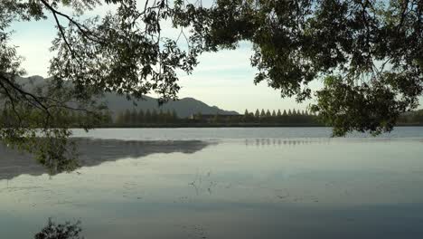 Seoul-Grand-Park,-Gwacheon,-Korea---Peaceful-Lake-With-Autumn-Trees---Wide-Shot