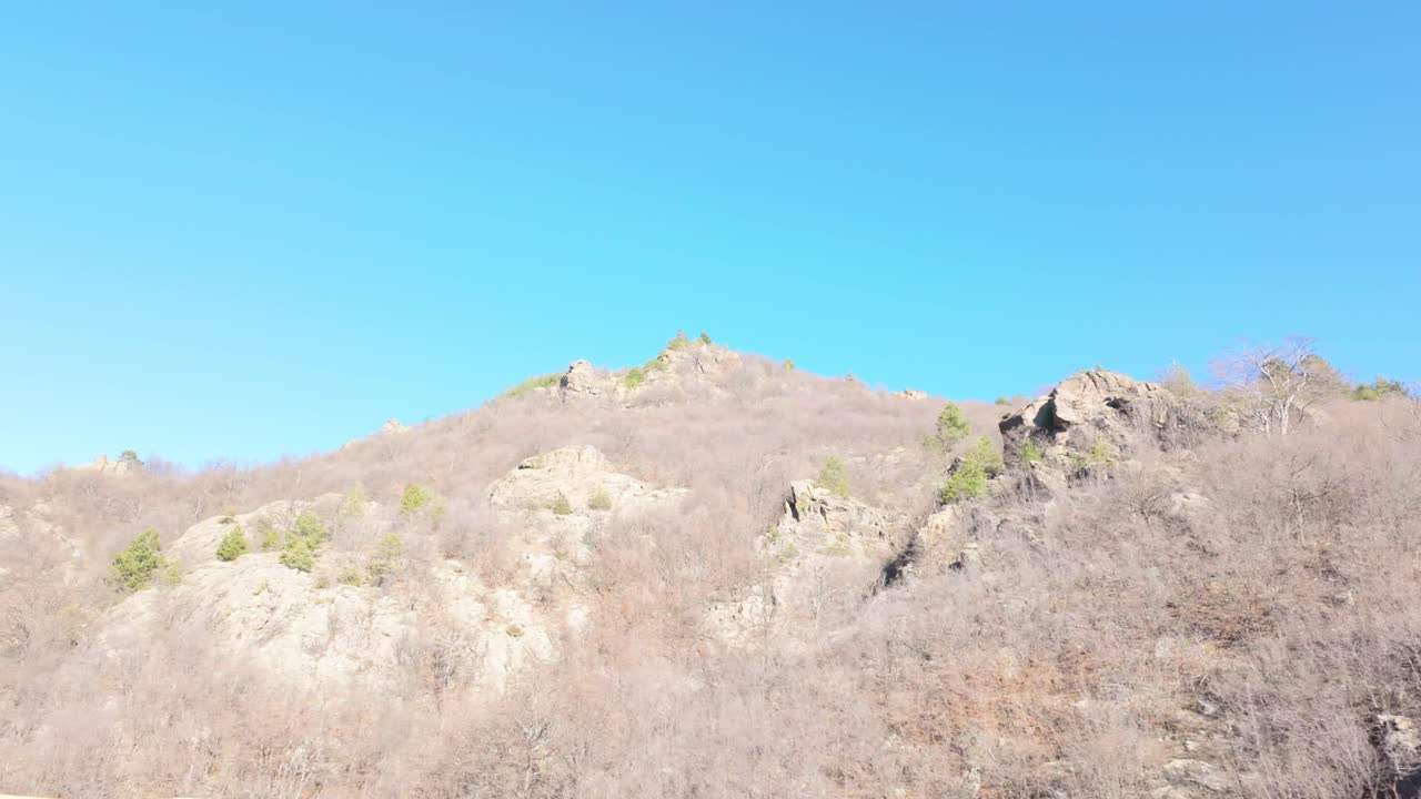 은 하늘과 은 겨울 날 발칸 산맥의 바위 언덕을 는 낙과 상록 나무