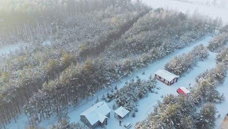 Vista-Aérea-De-Una-Cabaña-En-Un-Bosque-Nevado-Noruego