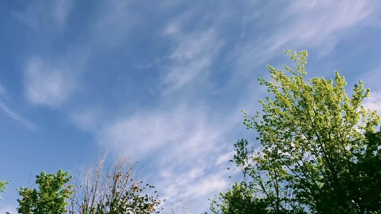 timelapse cielo azul con nubes y árboles verdes