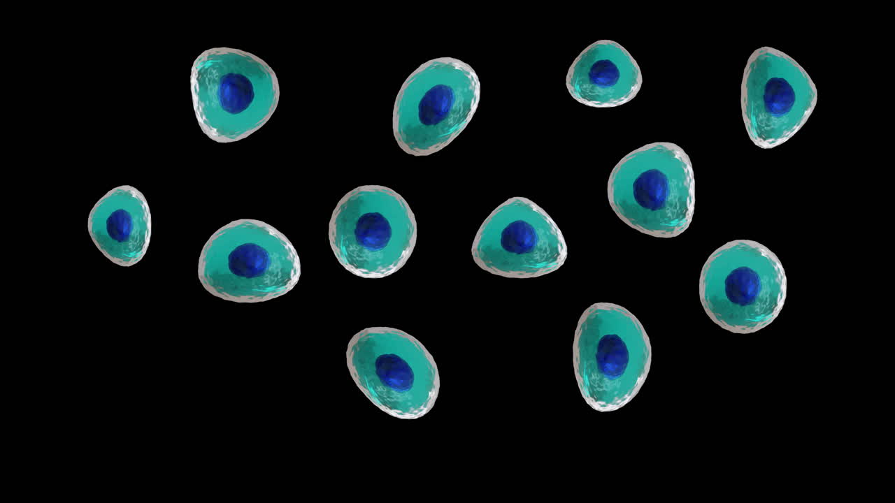 Animazione di cellule su sfondo nero.