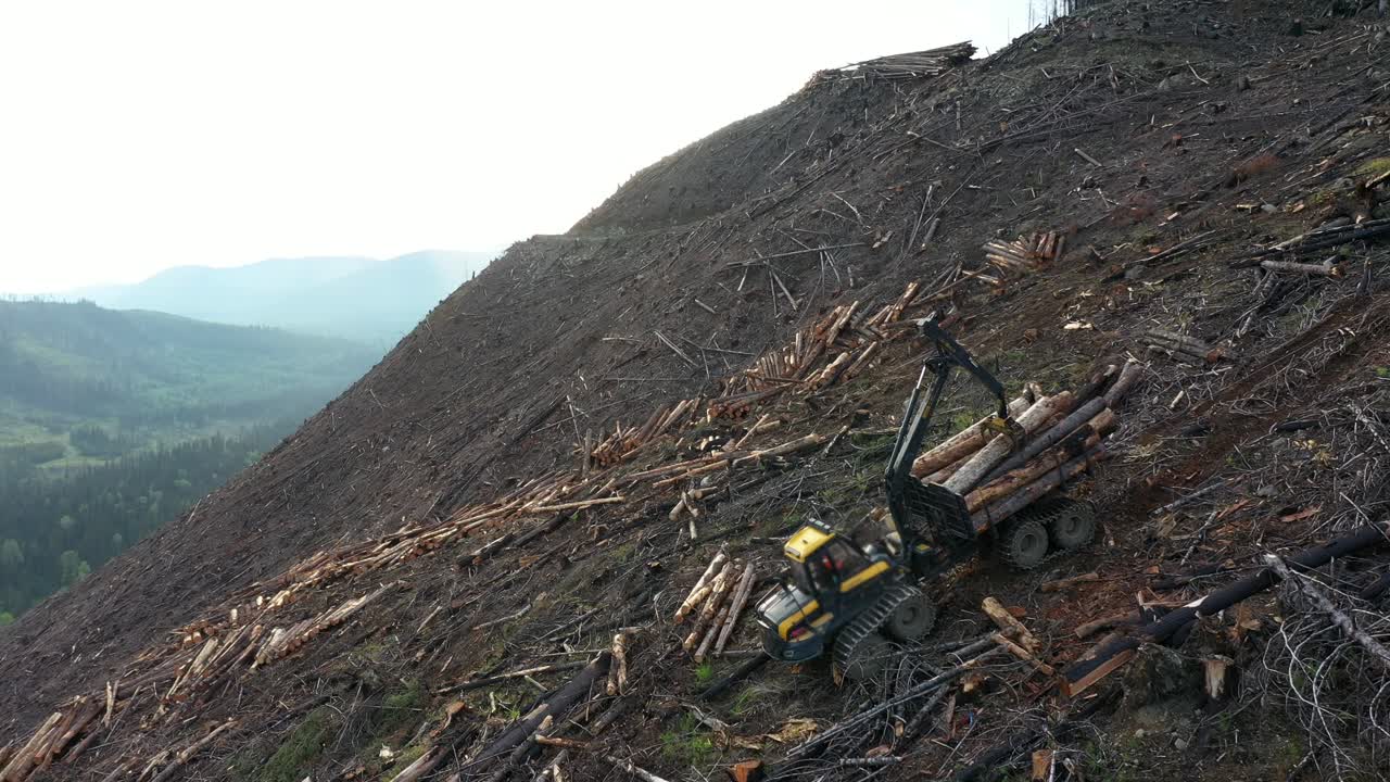 Drone Frames Forwarder's Uphill Battle in BC Timber Industry
