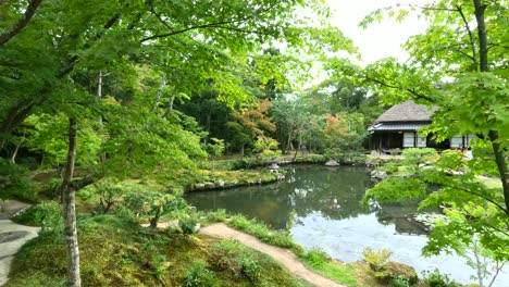 beautiful japanese garden and tea house in the historic town of nara, japan