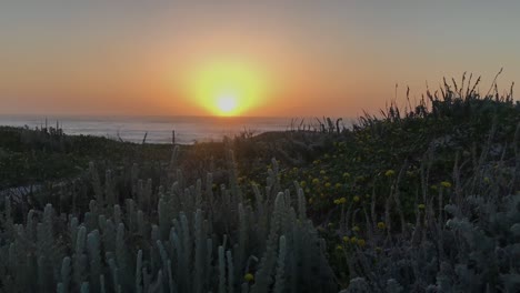 Una-Hermosa-Puesta-De-Sol-Desde-La-Playa-Estatal-De-Asilomar-En-Monterey,-California