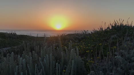 a beautiful sunset from asilomar state beach in monterey, california