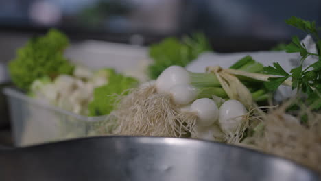 close up shot of broccolis and other vegetables kept in a container in kitchen of a french chef restaurant with blurred background