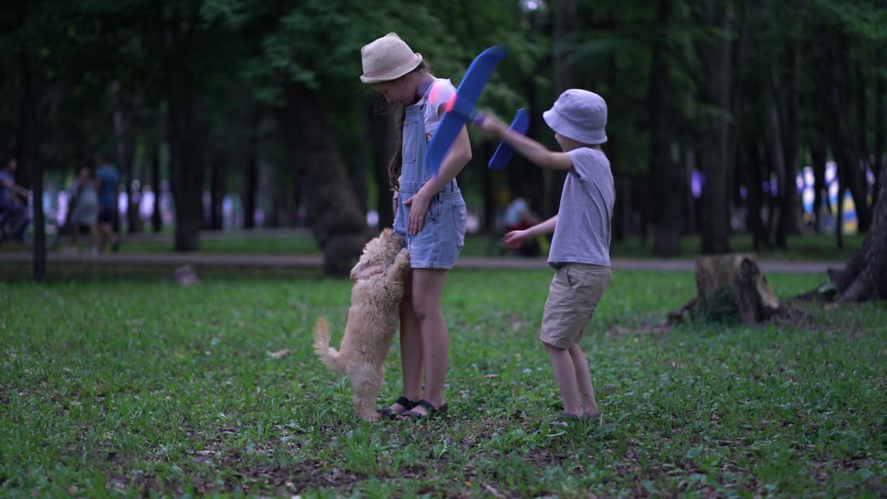 비행기를 가진 작은 소년과 소녀는 공원에서 야외에서 귀여운 푸들 개와 놀고 있습니다.