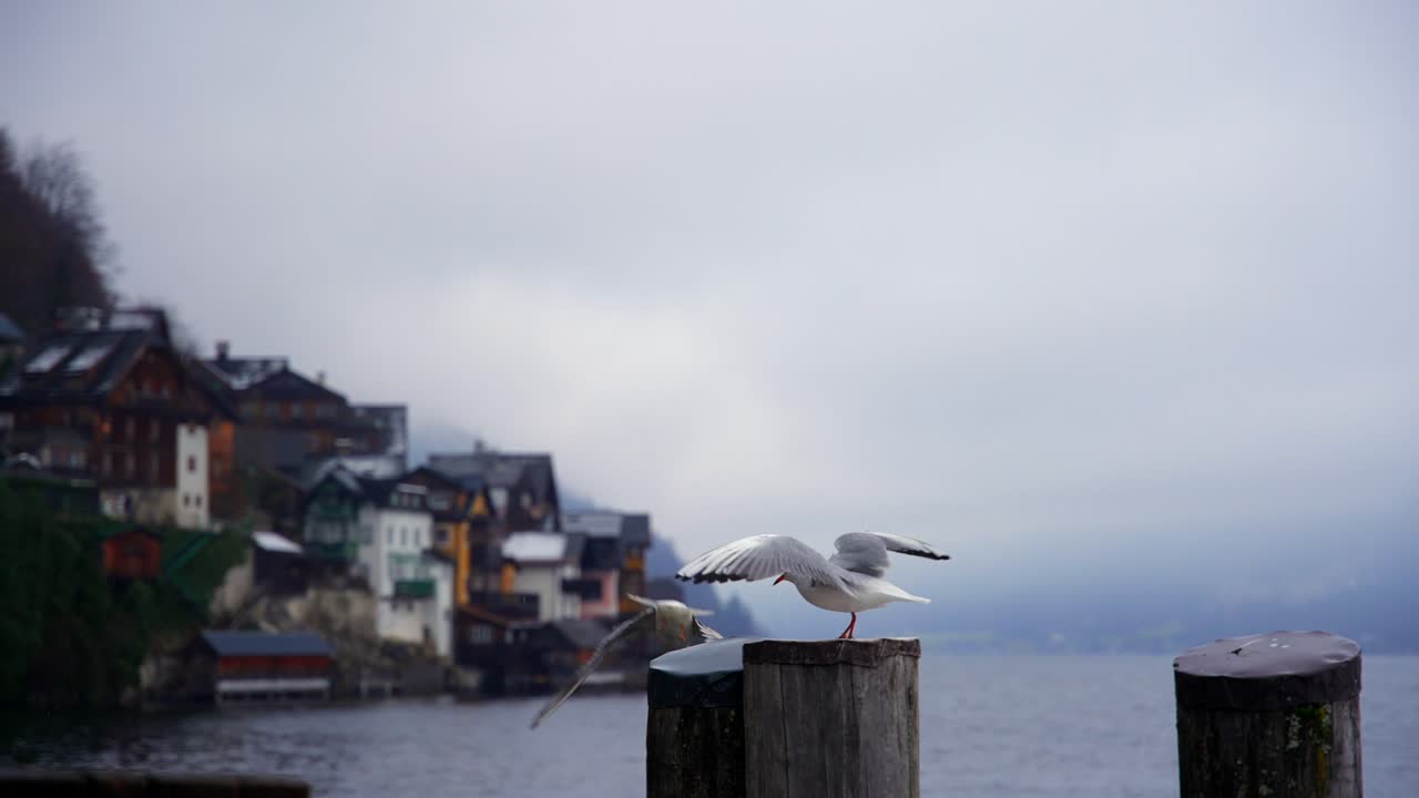 호수 옆에 있는 할슈타트라는 마을에서 오스트리아의 유럽에서 촬영한 클립