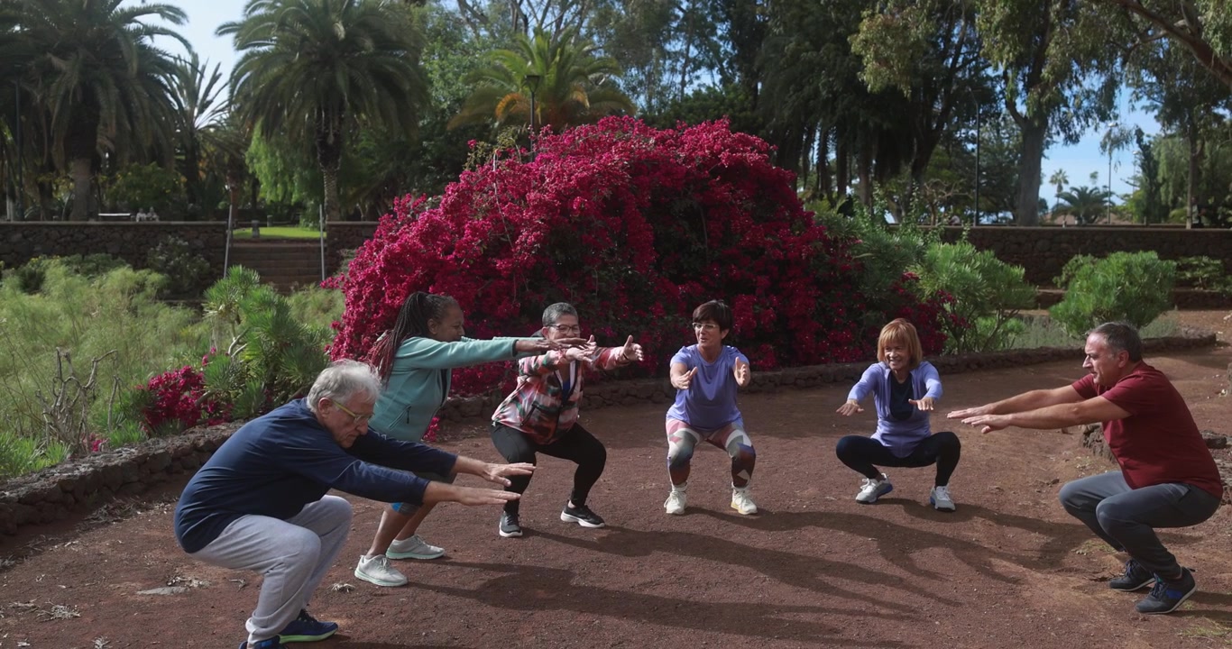 Diverse groep senioren die squats doen in een park