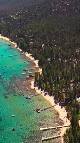 adorable scenery of lake tahoe blue water and wooded shore of pine trees. sunny footage of amazing nature from air. vertical video