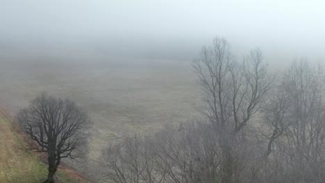 aerial fog hangs over winter field in yadkin county nc, north carolina