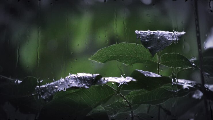 Heavy rain shower downpour cloudburst rainfall.
