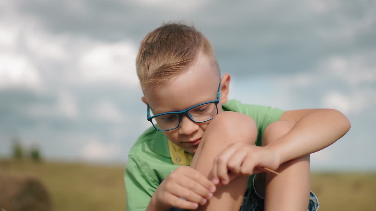 안경을 쓴 어린 아이는 밝은 파란 하늘 아래 광활한 농장에서 을 가지고 놀고, 사려 깊고 호기심이 많으며, 그는 배경에 흐릿한 나무와 함께 평화로운 야외 순간을 즐긴다.