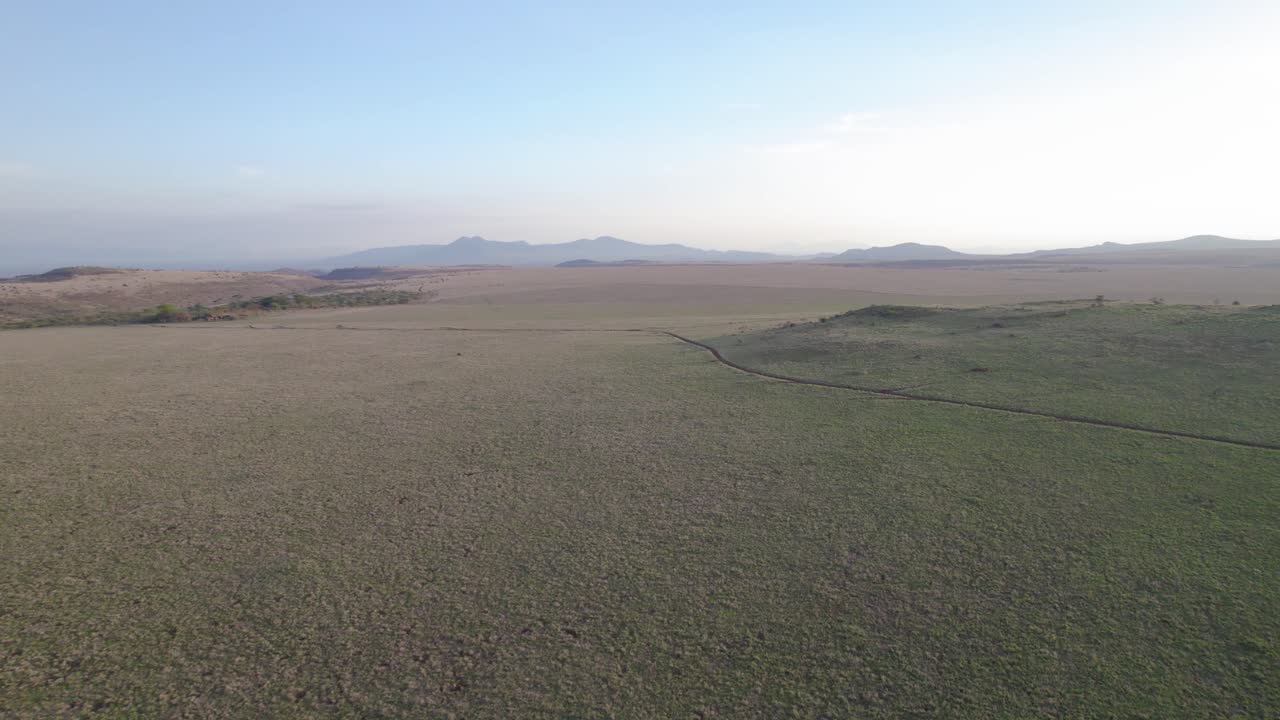 Droneoptagelser fra luften af den Afrikanske Savanne, Lewa Nationalpark