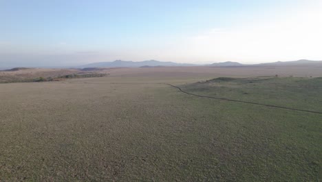 Aerial-drone-stock-footage-of-African-Savanna,-Lewa-National-park