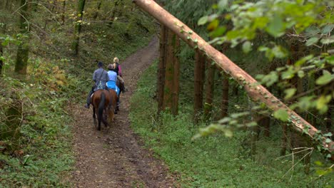 slow motion shot of three horse riders in forest