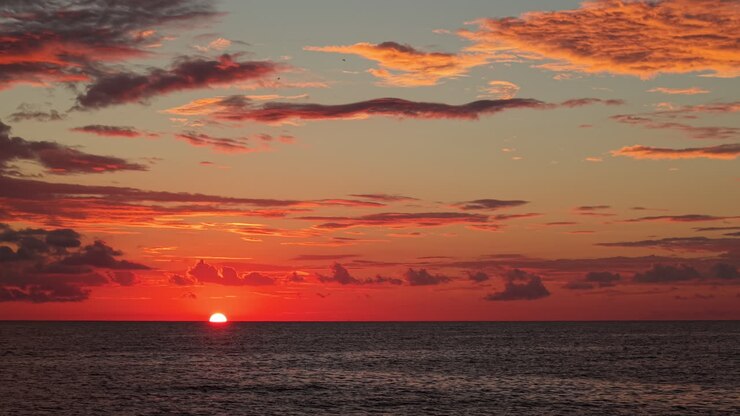 Lebhafter roter Sonnenuntergang über dem Ozean mit dramatischen Wolken und fliegendem Vogel
