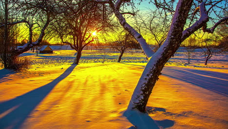 Amanecer-Dorado-Vibrante-En-El-Campo-De-Invierno:-Deslizamiento-Dinámico,-Panorámica,-Lapso-De-Tiempo-De-Movimiento-Inclinado-Hacia-Arriba