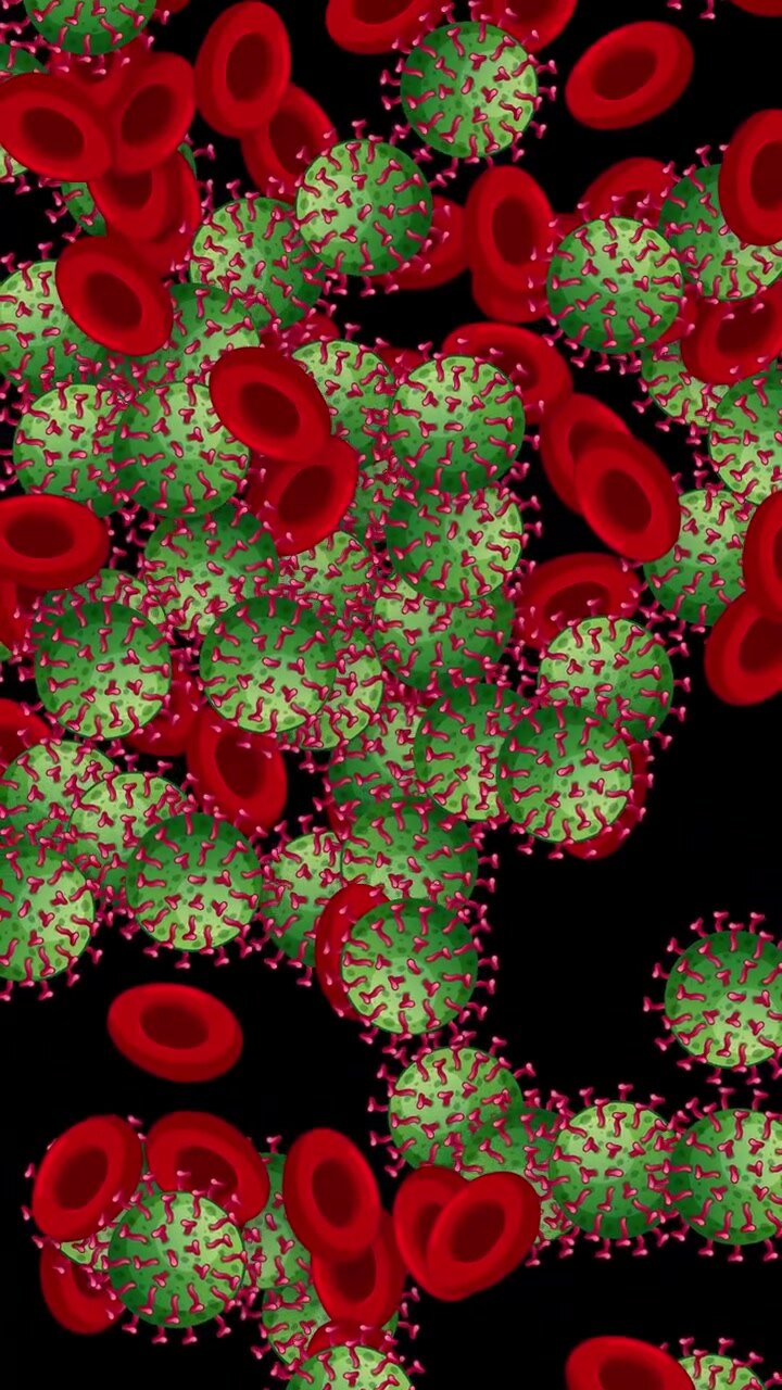 Animazione verticale di patogeni virali microscopici ed eritrociti che cadono su uno sfondo scuro