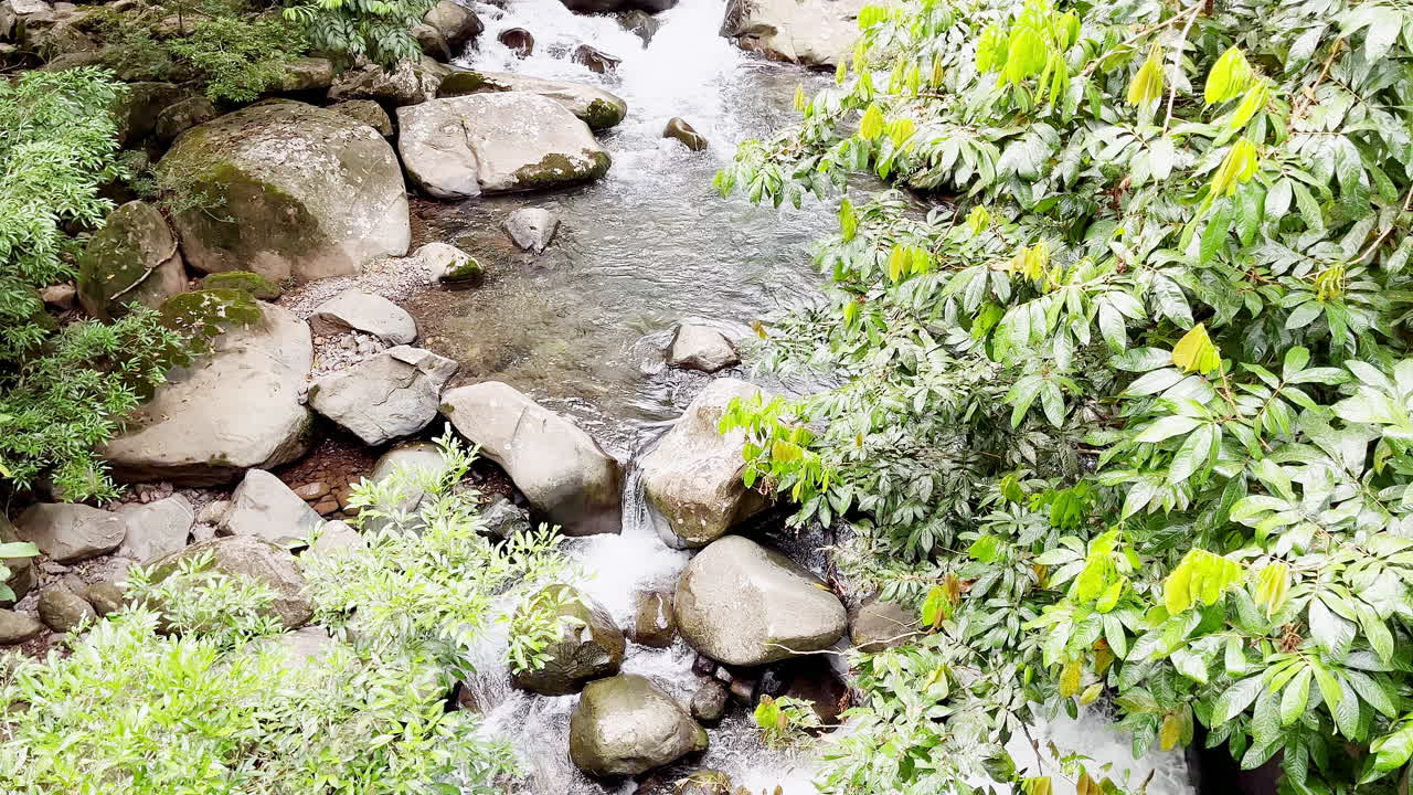 arroyo por alto ortiga, distrito de sante fe, veraguas, panamá