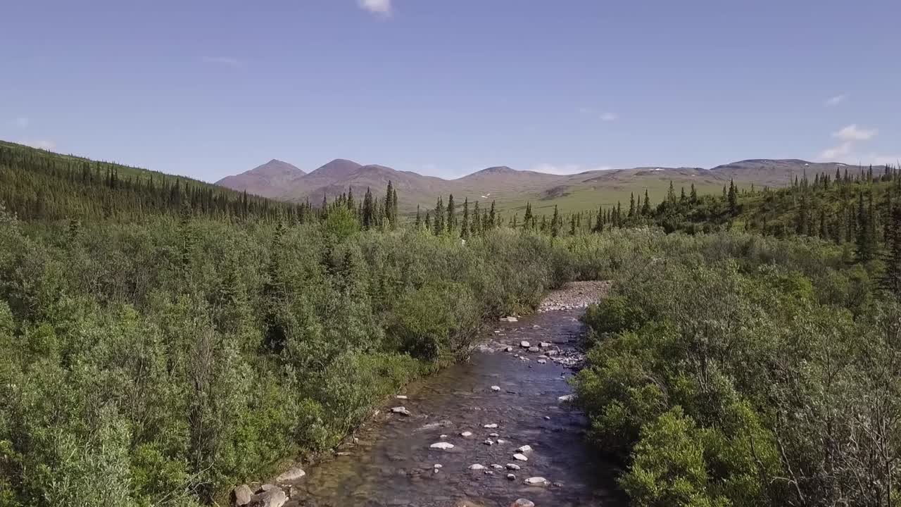 lento ascenso aéreo desde el hermoso pequeño arroyo de alaska, mirando a través de la tundra de alaska hacia el monte