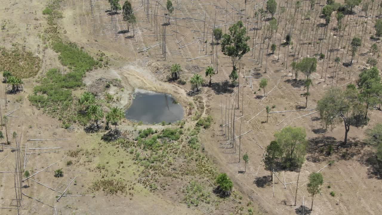 Small pond in deforestation area of Queensland in Australia. Aerial drone top pov