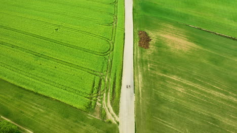 Aerial-footage-featuring-a-straight-dirt-road-flanked-by-vibrant-green-fields,-with-two-cyclists-riding-along-the-road