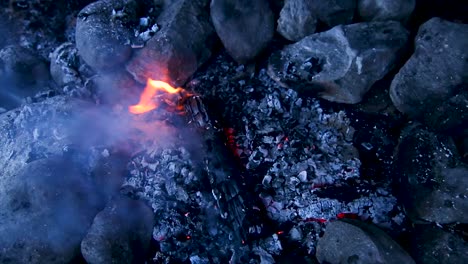 Lagerfeuer-Mit-Der-Natur-Im-Hintergrund