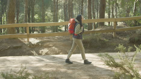 Schöne-Junge-Rucksacktouristin,-Die-Allein-Im-Wald-Spazieren-Geht