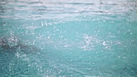 woman dives into a swimming pool to exercise and train - slow motion