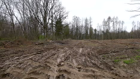 carretera de tierra que conduce a un sitio de tala industrial con restos después de cortar árboles en un bosque en polonia - ángulo bajo volando sobre