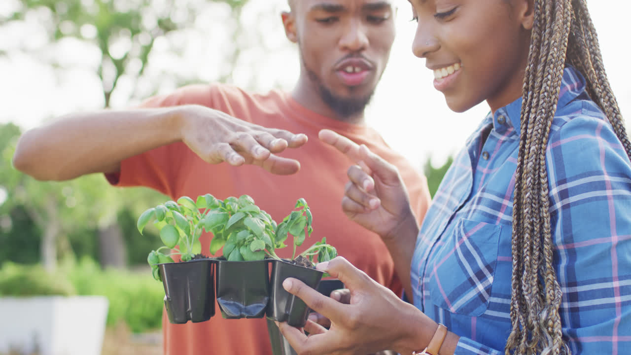 una feliz pareja afroamericana plantando hierbas en el patio trasero