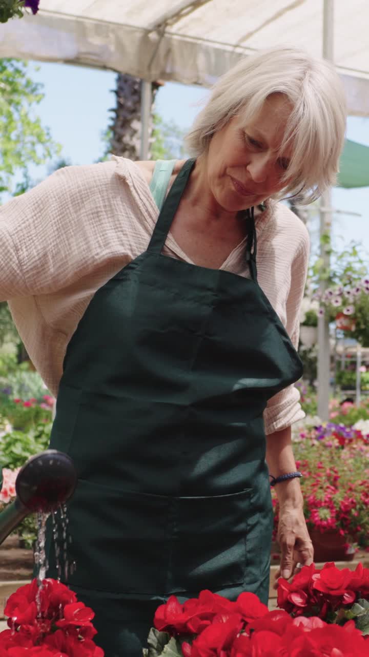 Senior woman watering flowers in a greenhouse