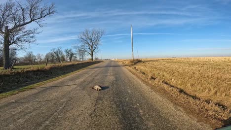 point of view - driving on rural country road past empty fields in late autumn