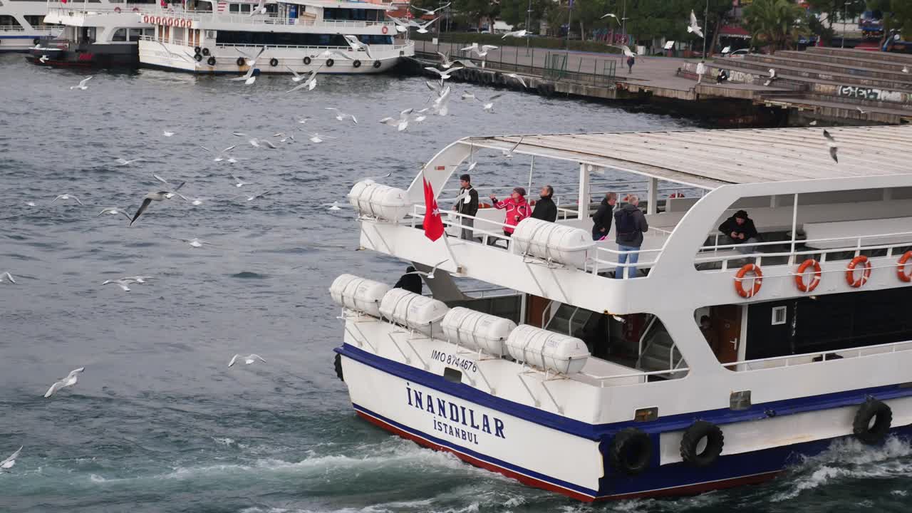un ferry navegando en el mar con personas a bordo y gaviotas volando alrededor