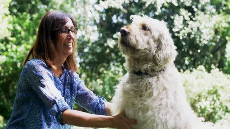 Reife-Frau-Streichelt-Ihren-Hund-Im-Garten-4k