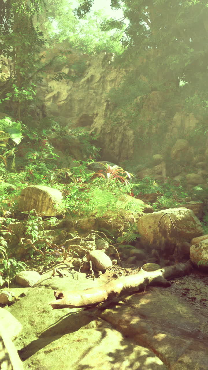 Natural landscape with sunlight streaming through trees in a tropical setting