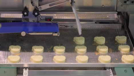 cakes on automatic conveyor belt , process of baking in confectionery factory.