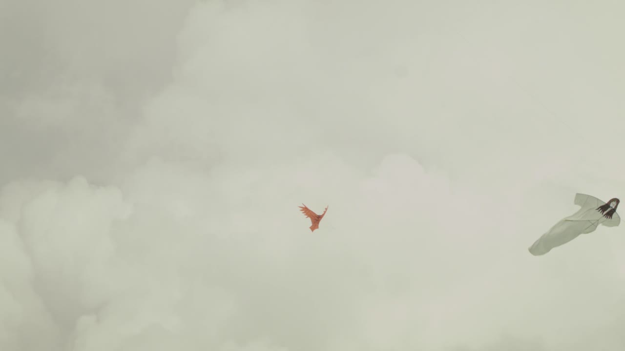 여름 목적지에서 우울하고 바람이 부는 날에 하늘을 지배하는 연