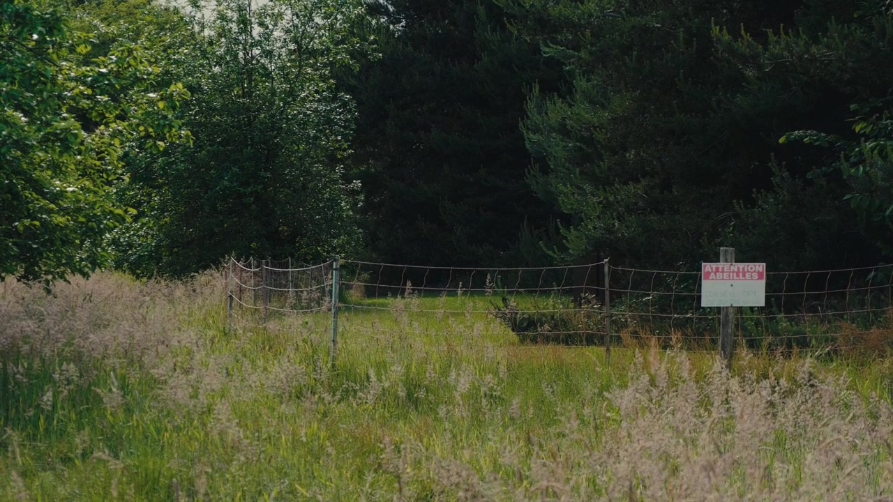 Filmové zpomalené záběry opuštěného drátěného plotu s výstražnou cedulí v zarostlém přírodním poli, obklopeného hustou zelenou vegetací a stromy. Ideální pro úvodní záběry zanedbaných míst.
