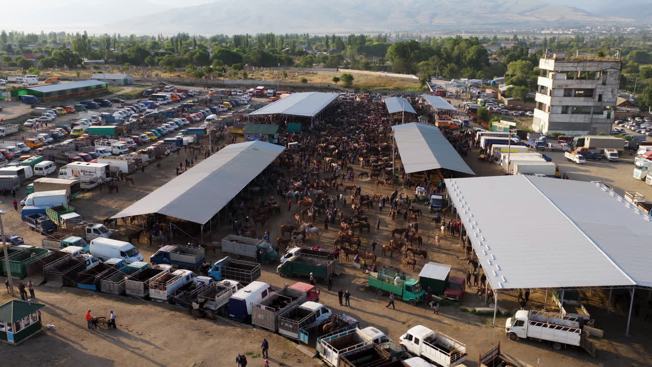 Bustling Karakol Animal Market With Livestock Animals In Kyrgyzstan. - aerial shot