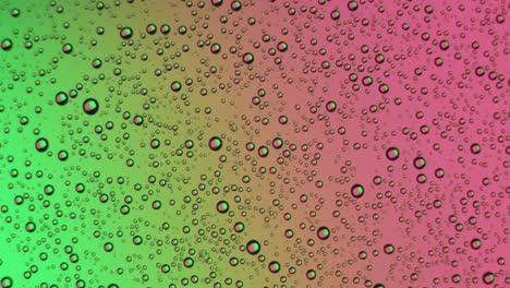 water drops appears on glass surface on green and pink