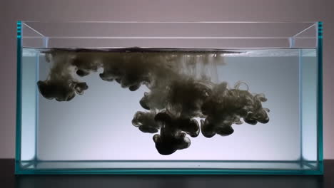 black ink diffusing in water tank