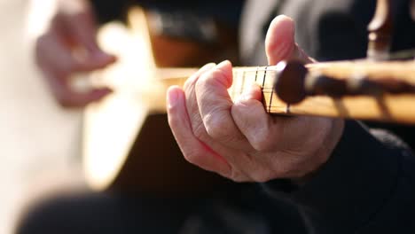 baglama player